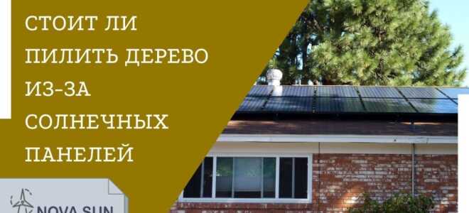 Стоит ли спилить дерево для установки солнечных панелей